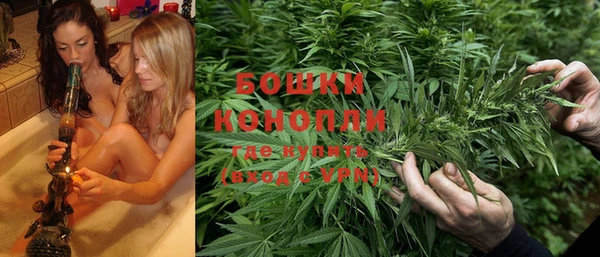 молекула духа Касимов