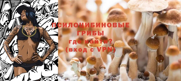 Альфа ПВП Карпинск